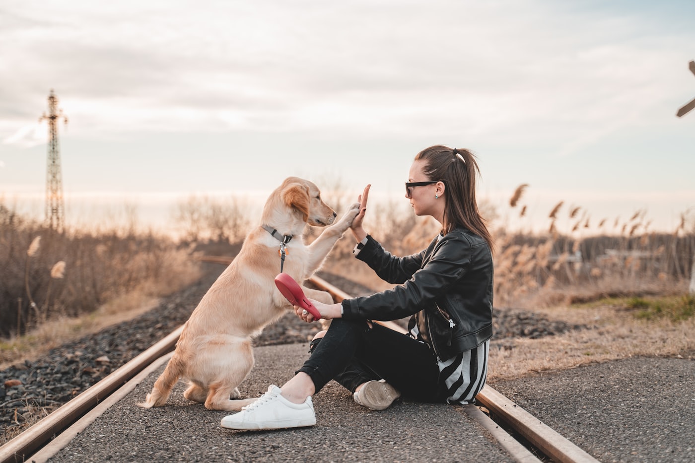 Haus Juris trainer working with a dog