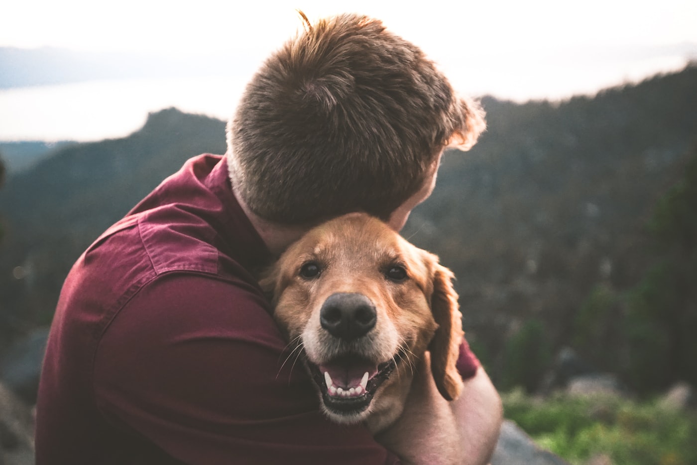 Owner hugging their dog after completing training